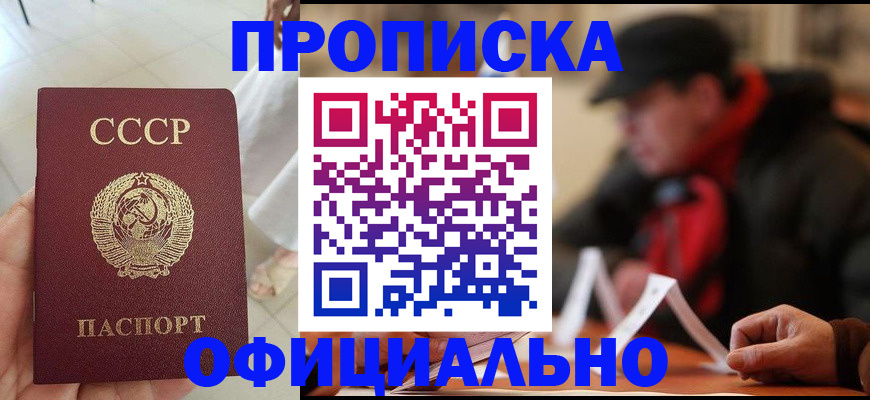 временная регистрация для школы в Ивантеевке